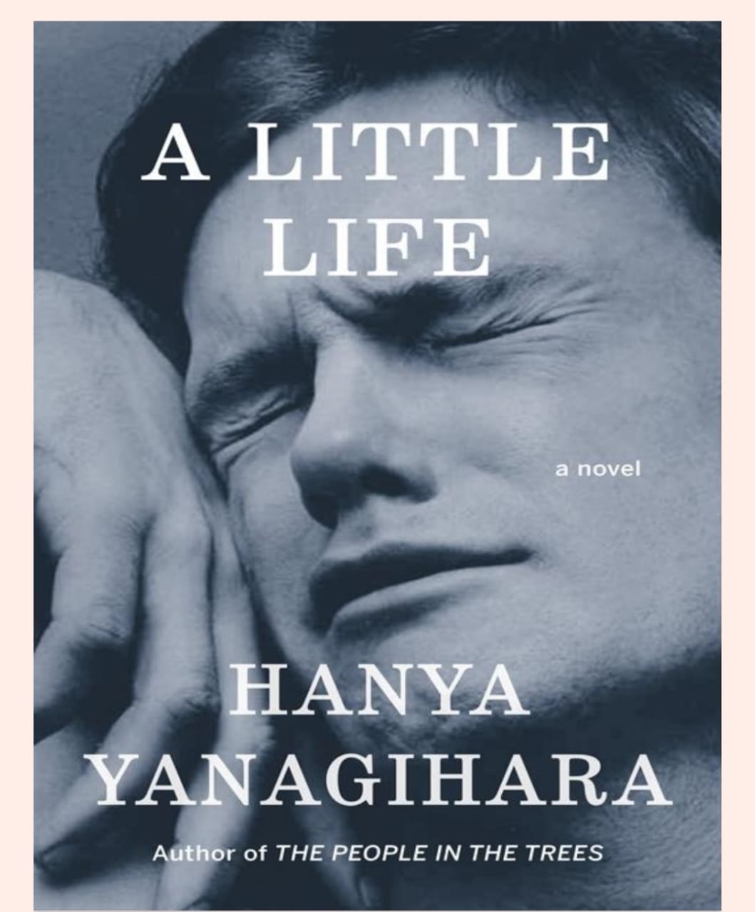 A LITTLE LIFE BOOK